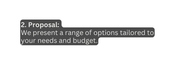 2 Proposal We present a range of options tailored to your needs and budget